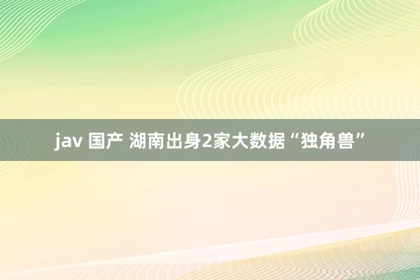jav 国产 湖南出身2家大数据“独角兽”