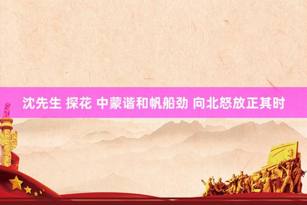 沈先生 探花 中蒙谐和帆船劲 向北怒放正其时