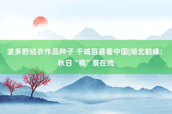 波多野结衣作品种子 千城百县看中国|湖北鹤峰: 秋日“枫”景在线