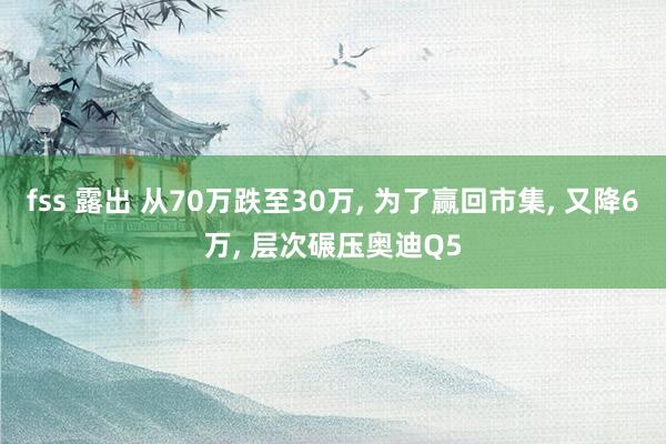 fss 露出 从70万跌至30万， 为了赢回市集， 又降6万， 层次碾压奥迪Q5